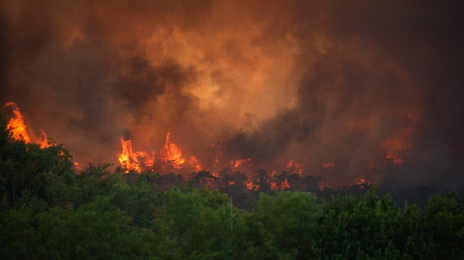 Najnovejše informacije o požaru na Krasu: 1000 gasilcev, na pomoč italijanski in hrvaški canadair ... (foto: Facebook/Mitja Ambrozelj)