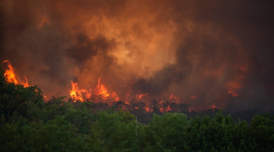 Najnovejše informacije o požaru na Krasu: 1000 gasilcev, na pomoč italijanski in hrvaški canadair ... (foto: Facebook/Mitja Ambrozelj)