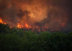 Najnovejše informacije o požaru na Krasu: 1000 gasilcev, na pomoč italijanski in hrvaški canadair ...