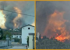 FOTO in VIDEO: Grozljivi posnetki požarov, ki so jih ujeli domačini