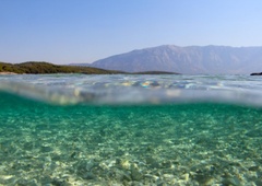 Kritično stanje: ''Morje je prazno, ni več rib, ni več organizmov''