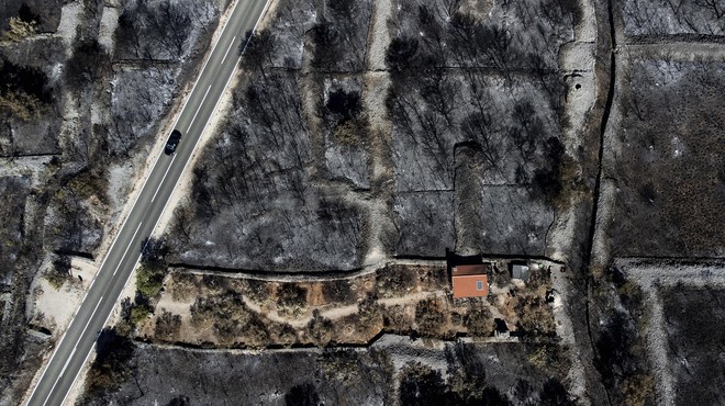 FOTO: Opustošenje po požaru na Hrvaškem. Bo kmalu tako videti tudi pogorišče na Krasu? (foto: Bobo)