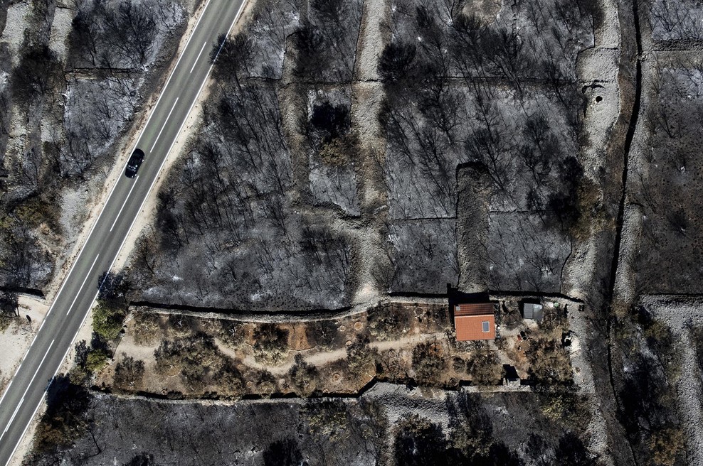FOTO: Opustošenje po požaru na Hrvaškem. Bo kmalu tako videti tudi pogorišče na Krasu? (foto: Bobo)