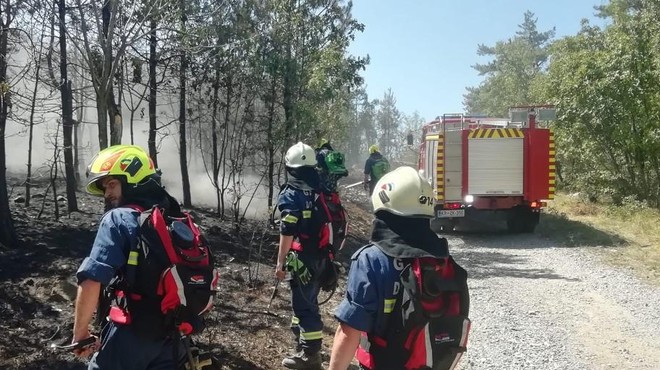 Novi požari na Goriškem prišli z italijanske strani (foto: Facebook/Gasilska enota Nova Gorica)