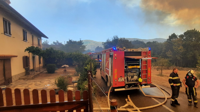 Požar na Krasu le še nekaj metrov od hiš: "Držite pesti, družino so že evakuirali" (foto: Twitter/Istrianer)
