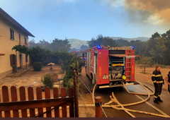 Požar na Krasu le še nekaj metrov od hiš: "Držite pesti, družino so že evakuirali"