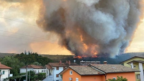 Požar se širi naprej: najhuje je pri Kostanjevici na Krasu