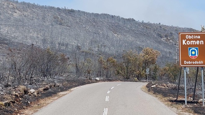 Šokantne fotografije gozdov na Krasu: "Na nekaterih krajih je pogorelo vse." (foto: Facebook/Erik Modic)