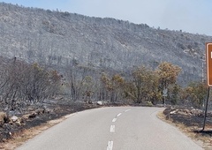 Šokantne fotografije gozdov na Krasu: "Na nekaterih krajih je pogorelo vse."