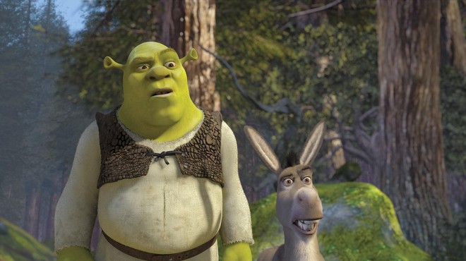Moški po lepotnem posegu šokiran: "Zakaj sem podoben oslu iz Shreka?" (foto: Profimedia)