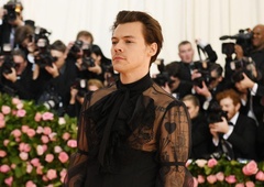 Bi študirali na univerzi, kjer predavajo o Harryju Stylesu? Potem se morate vpisati na TO fakulteto