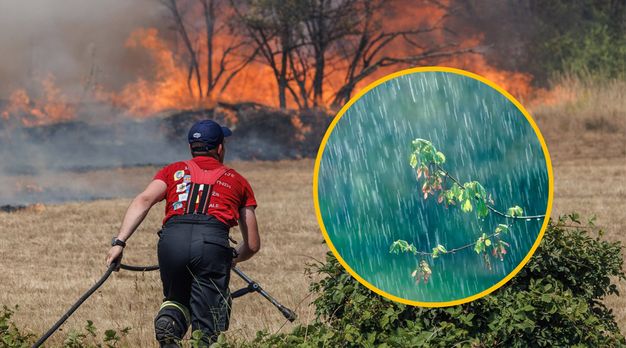 Se bo končno ohladilo? Svet v primežu plamenov, vsi komaj čakajo na dež (foto: Profimedia/fotomontaža)
