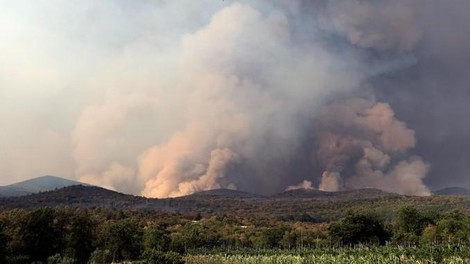 Pristojni so pojasnili, ali so bili požari na Krasu zares načrtni požigi