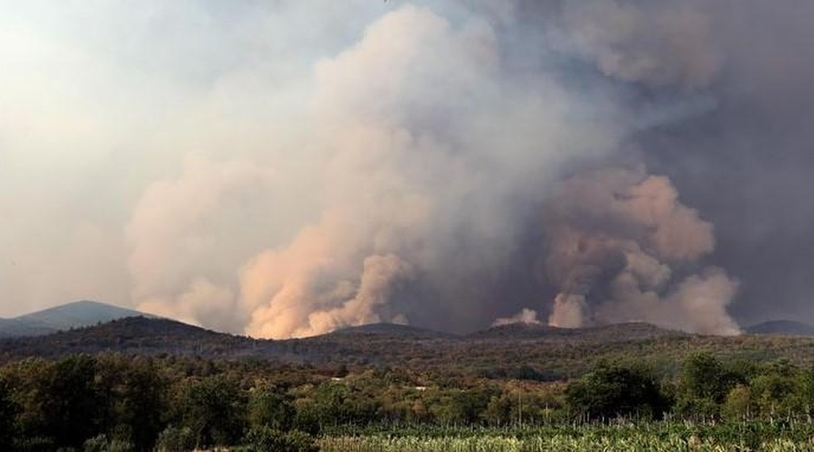 Pristojni so pojasnili, ali so bili požari na Krasu zares načrtni požigi (foto: Bobo)