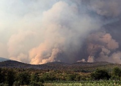 Pristojni so pojasnili, ali so bili požari na Krasu zares načrtni požigi