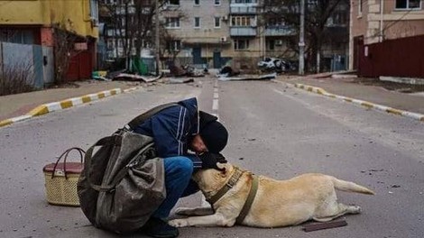 Pripravite robčke: fotografije, ki razkrivajo 5 mesecev strahu in groze vojne v Ukrajini
