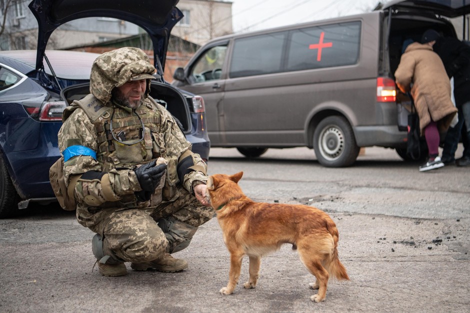 1. Vojak hrani psa s pasjo hrano humanitarne pomoči, ki je bila dostavljena v Vorzelu, mestu, ki je bilo pred …