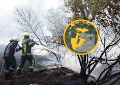 Požar na Krasu: pogorišče veliko kot 5500 nogometnih igrišč, pri gašenju sodelovalo za manjše mesto ljudi
