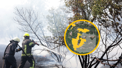 Požar na Krasu: pogorišče veliko kot 5500 nogometnih igrišč, pri gašenju sodelovalo za manjše mesto ljudi
