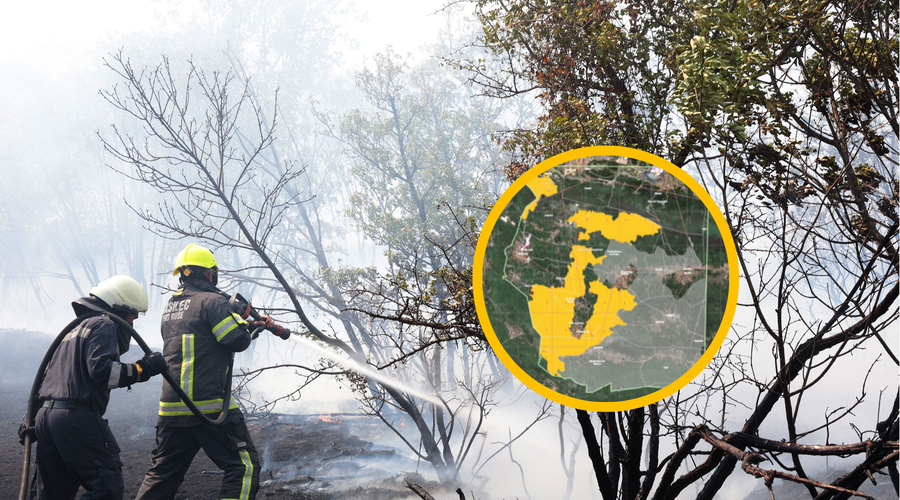 Požar na Krasu: pogorišče veliko kot 5500 nogometnih igrišč, pri gašenju sodelovalo za manjše mesto ljudi (foto: Bobo/Copernicus/fotomontaža)