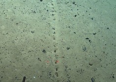 Zmedeni znanstveniki: na dnu oceana našli skrivnostne luknje