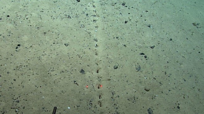 Zmedeni znanstveniki: na dnu oceana našli skrivnostne luknje (foto: Twitter/sambarillas)