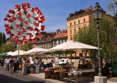 Ste se tudi vi spraševali, ali je mogoče, da je koronavirus laboratorijska bolezen? Imamo odgovore