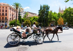 Konj se je od vročine sesedel, reakcija turistov pa naravnost žalostna