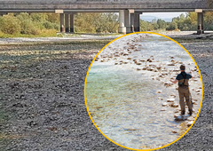 Z rokami prenašajo ribe tja, kjer je še kaj vode: "Položaj je iz dneva v dan hujši. Izčrpani smo."