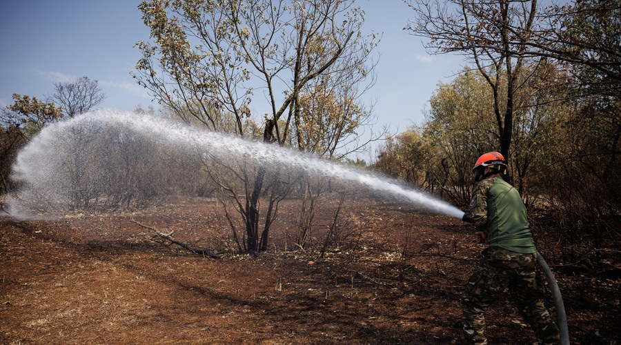 Na voljo je več kot milijon evrov, kdo je upravičen do denarja? (foto: Luka Dakskobler/Bobo)