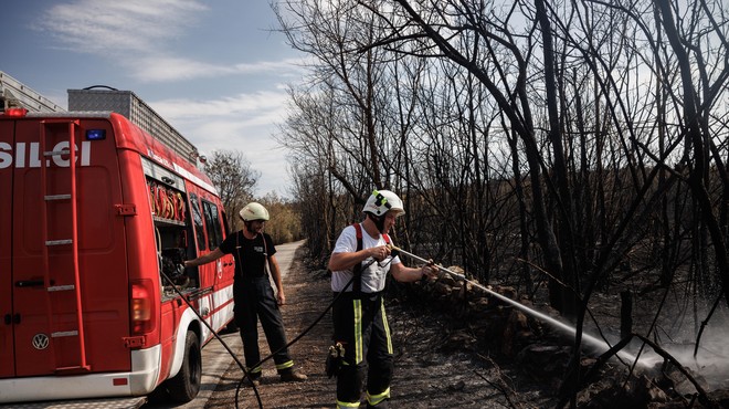 Znano je, koliko denarja je vlada namenila organizacijam za gašenje požara na Krasu (foto: Luka Dakskobler/Bobo)