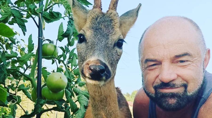 RAZKRIVAMO: srnjak Miško je nastopal v resničnostni oddaji Kmetija! (foto: Facebook Jan Knez)