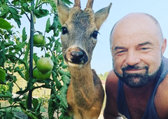 RAZKRIVAMO: srnjak Miško je nastopal v resničnostni oddaji Kmetija!