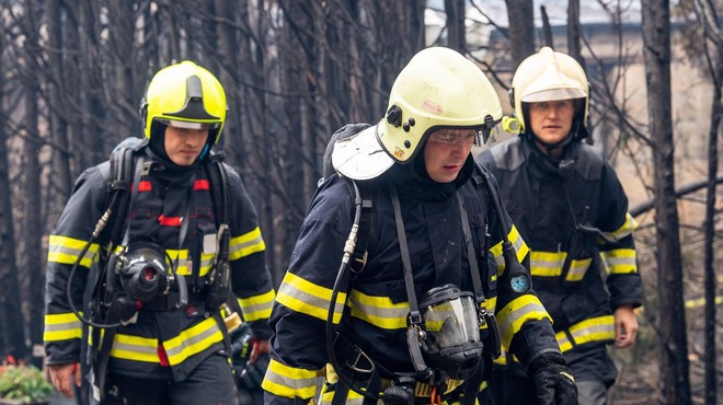 Požar se trudi pogasiti kar 650 gasilcev, vpoklicali so tudi dodatne sile (foto: Profimedia)