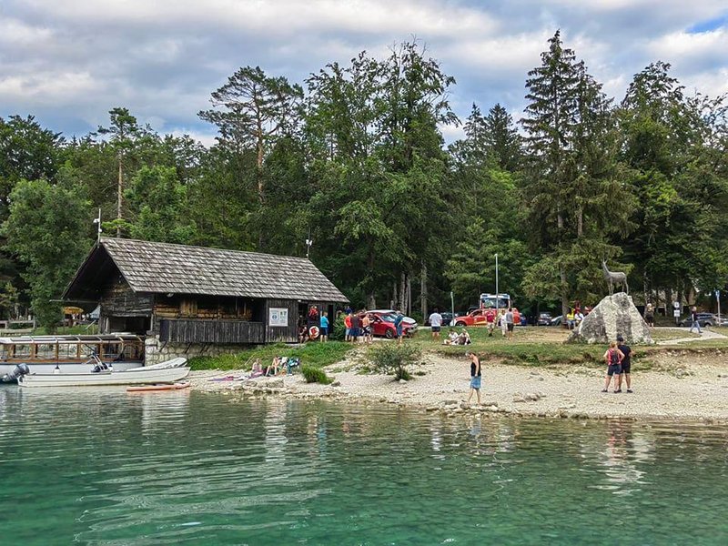 Na Bohinjskem jezeru je prišlo da kar velikega preplaha med obiskovalci.