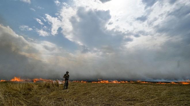 Pridelek v Ukrajini bo prepolovljen: pred nami globalna prehranska kriza? (foto: Profimedia)