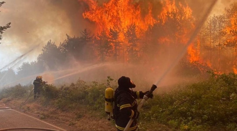 Na Krasu najden zapis domnevnega požigalca: kaj je res? (foto: Twitter/BN)