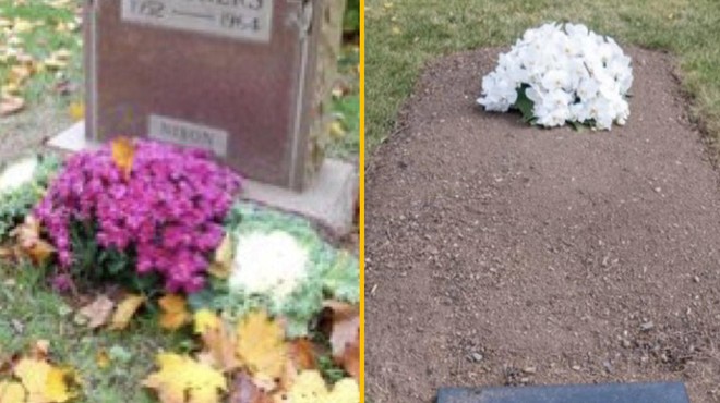 Uganete, kateri grob pripada Trumpovi nekdanji ženi in kateri predsednikovemu psu? (foto: Twitter Hoodlum/fotomontaža)