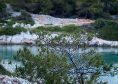 Napada na novinarko osumljen tudi Slovenec? Podana je bila kazenska prijava