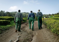Podjetja izkoriščajo krizo in mastno služijo na hrbtih revnih