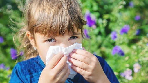 Temperature do 37 stopinj Celzija, grozljiva suša in začetek alergij: nasveti, kako lahko lažje zadihate!