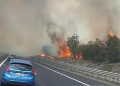 Tržaški zaliv gori! Zaradi požara zaprli avtocesto in železnico