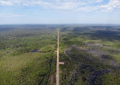 Saj ni res, pa je: skozi amazonski pragozd se boste lahko peljali po avtocesti