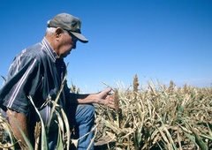 Posledice globalnega segrevanja smo očitno podcenili. Bo človeštvo izumrlo?