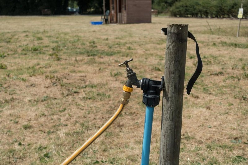 Ne boste verjeli, kaj lahko polja obvaruje pred sušo - Svet