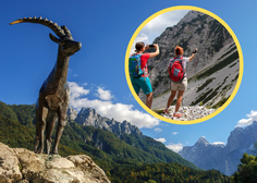 Hrvati se hvalijo z neverjetno turistično sezono: jim je Slovenija prišla blizu?