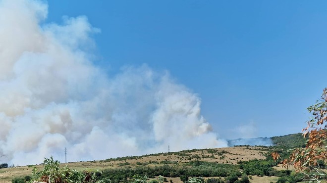 Spet gori, domačini zaskrbljeni: požar pod Socerbom se hitro širi (imamo fotografije naših bralcev) (foto: Uredništvo)