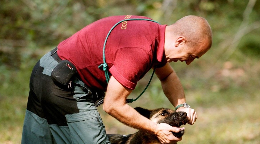 Fotografija je simbolična (foto: Profimedia)