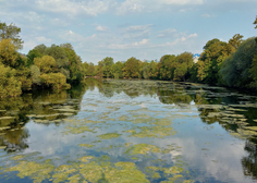 Alarmantne razmere: reka Ljubljanica na najbolj nizkem vodostaju v zadnjih 10 letih