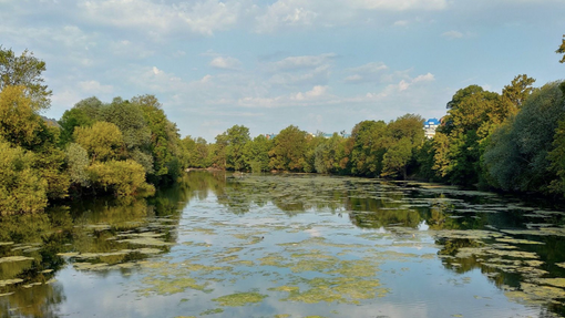 Alarmantne razmere: reka Ljubljanica na najbolj nizkem vodostaju v zadnjih 10 letih